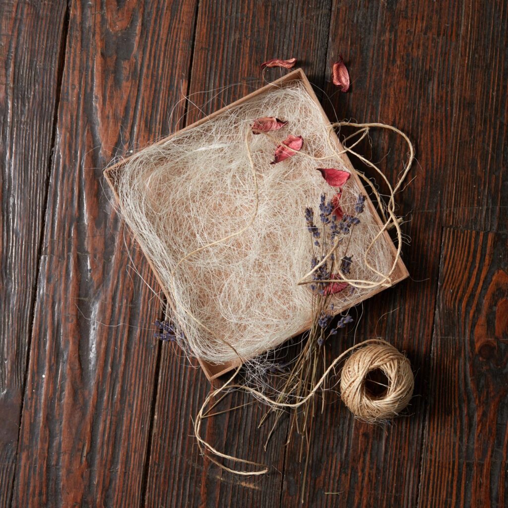 Bunch of several dried lavender branches